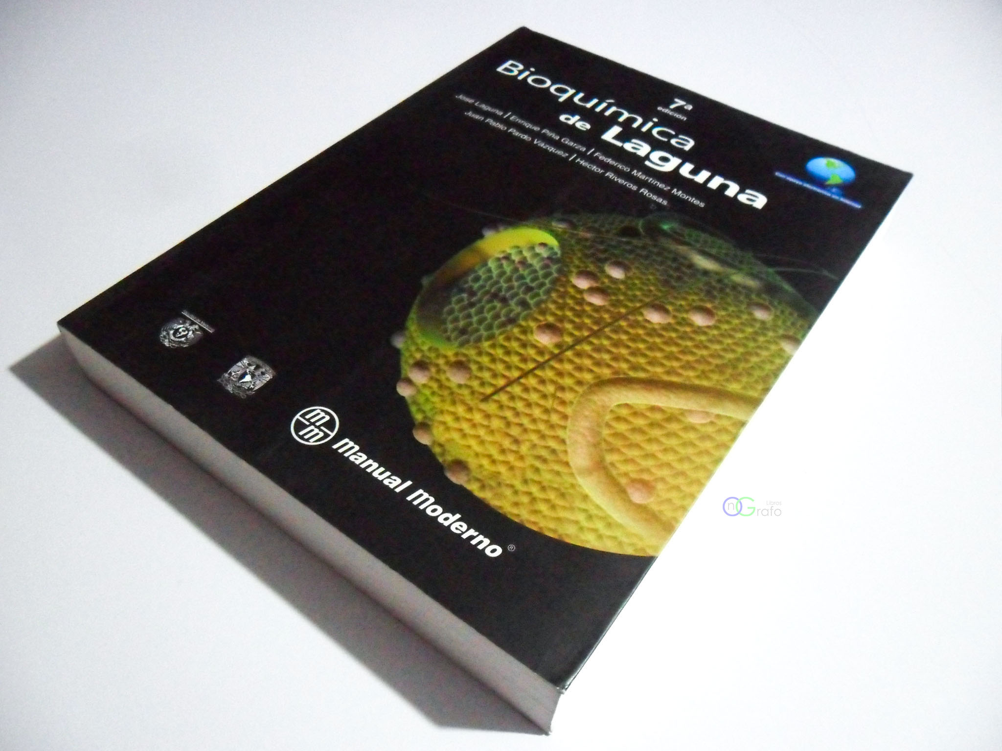 FOTO LIBRO
