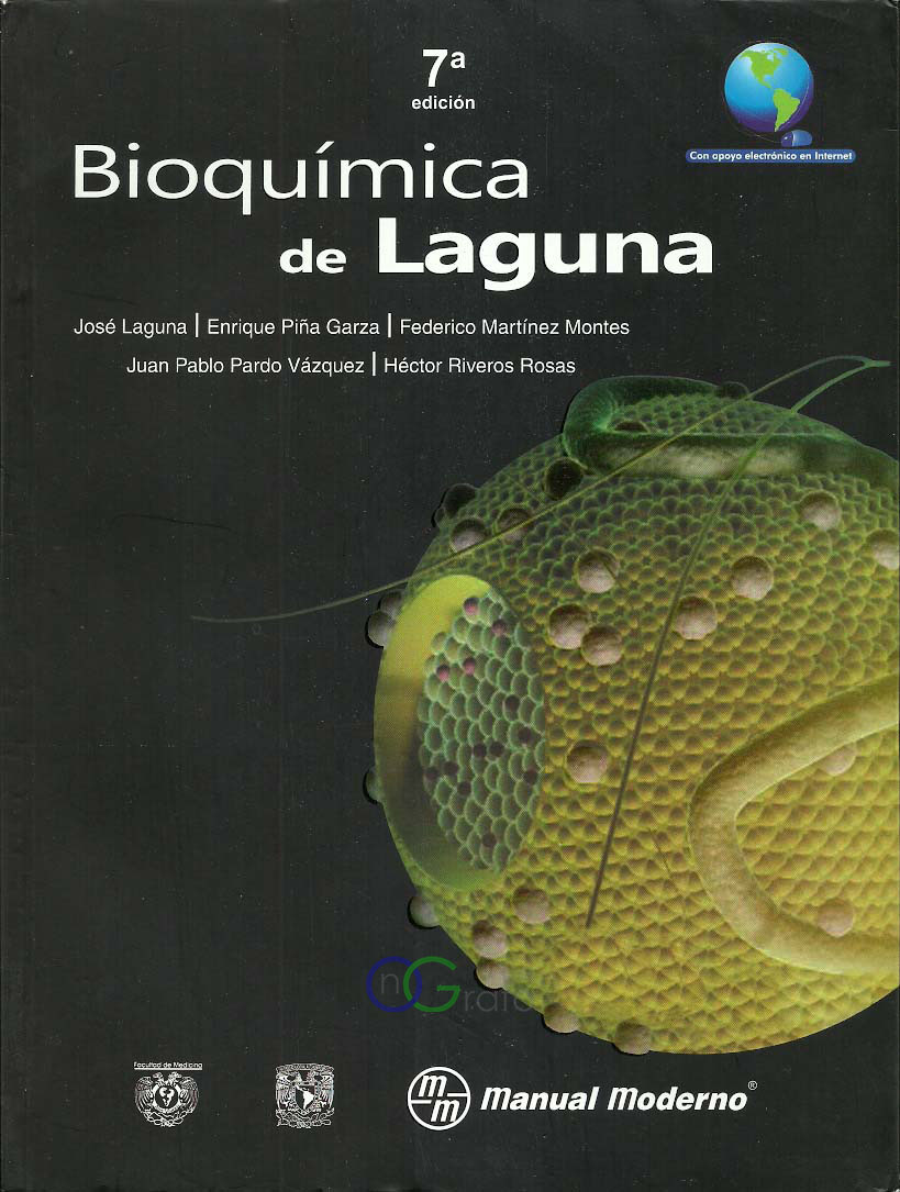 FOTO LIBRO