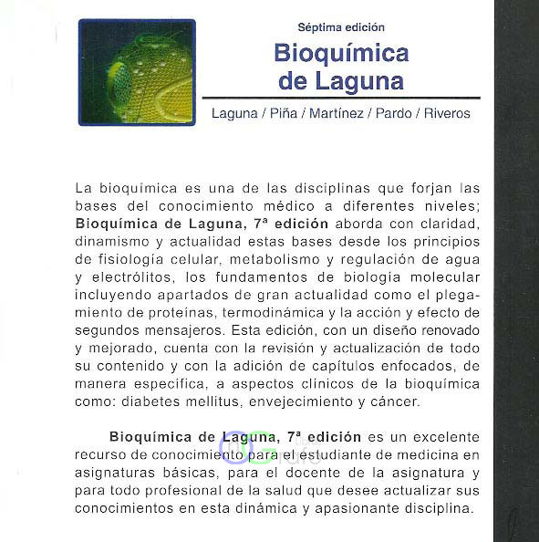 FOTO LIBRO