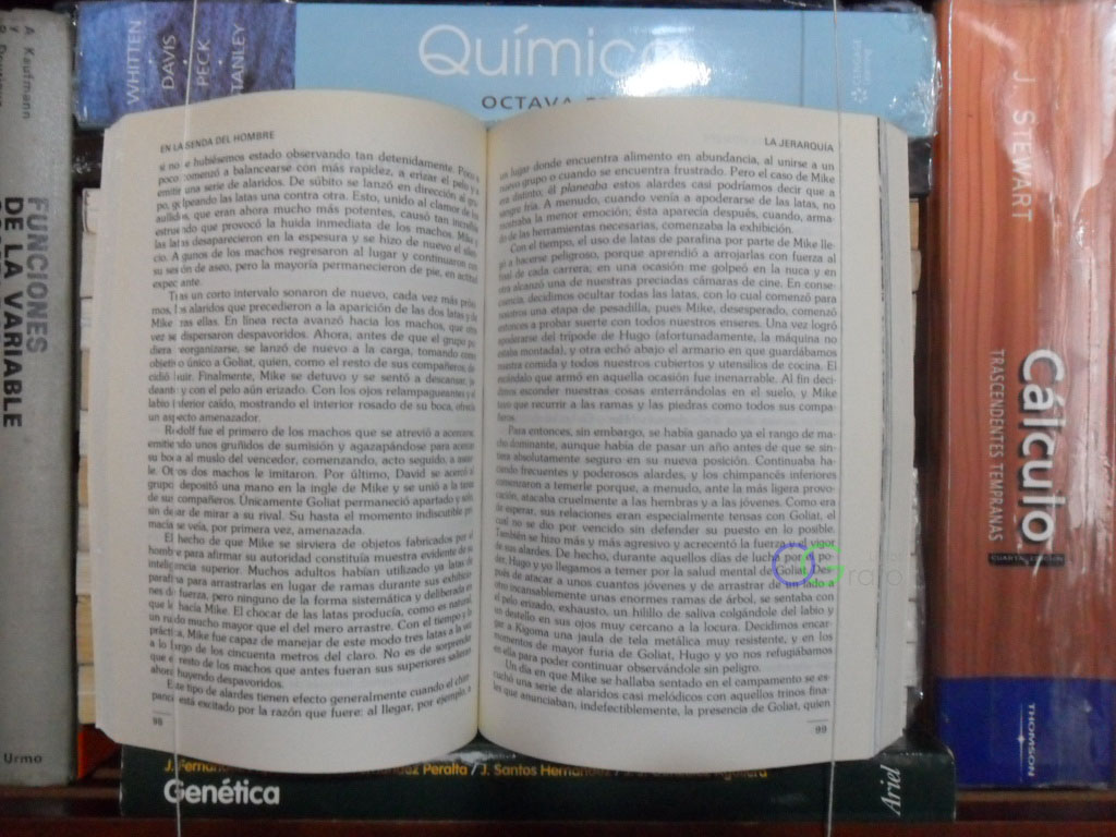 FOTO LIBRO