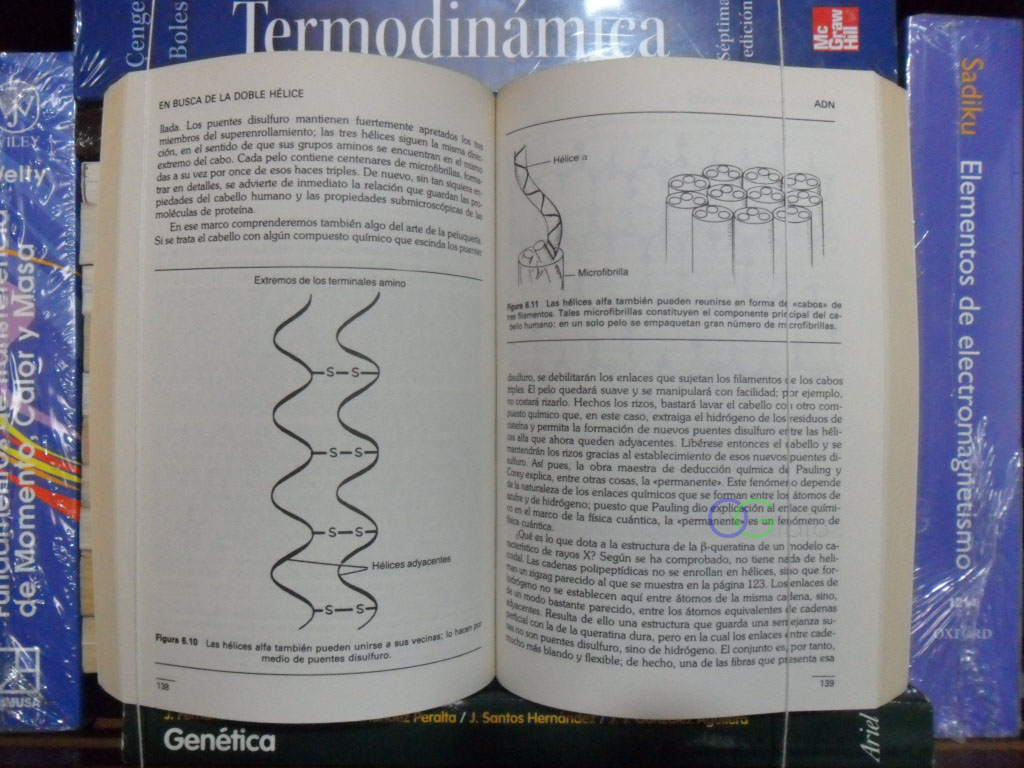 FOTO LIBRO