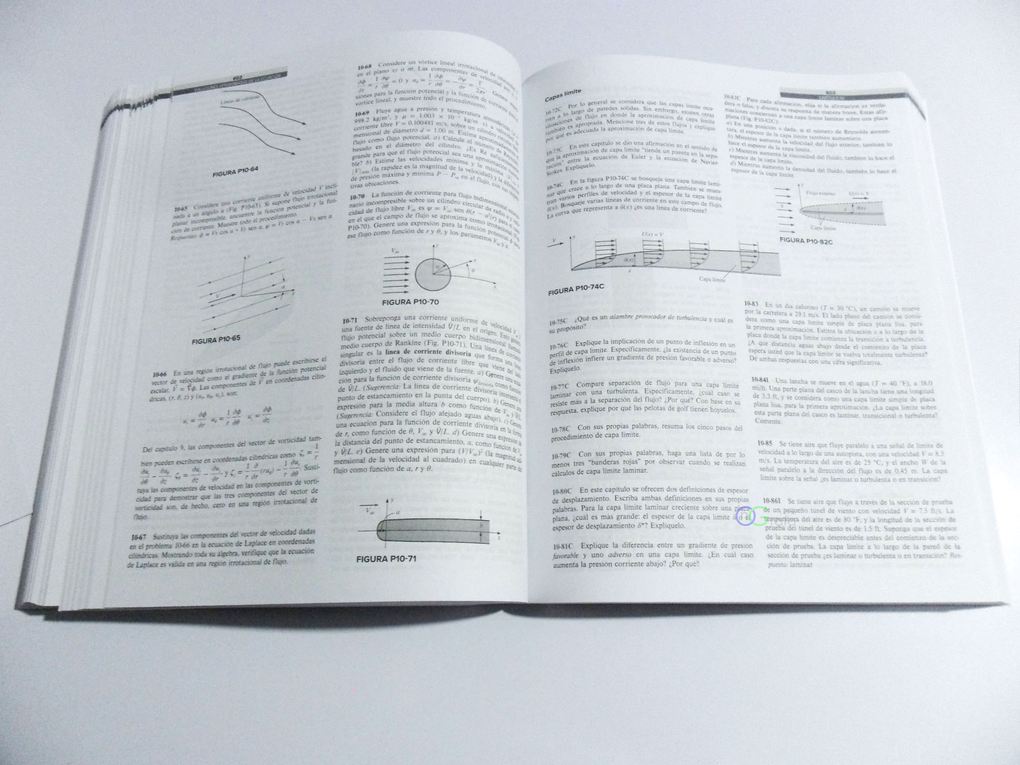 FOTO LIBRO