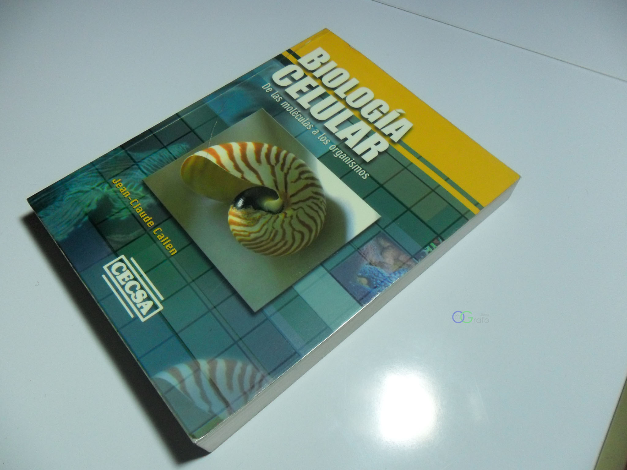 FOTO LIBRO