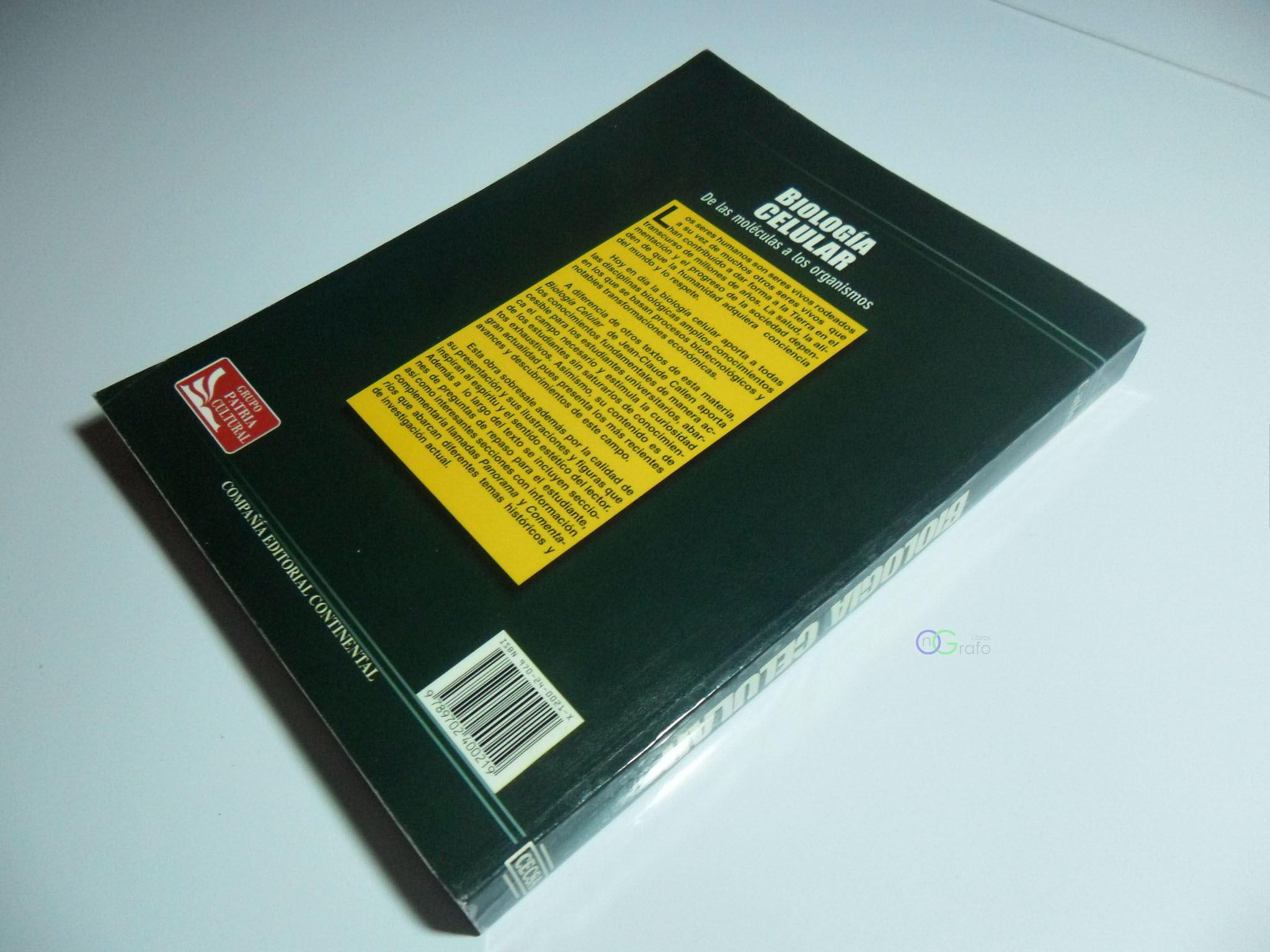 FOTO LIBRO