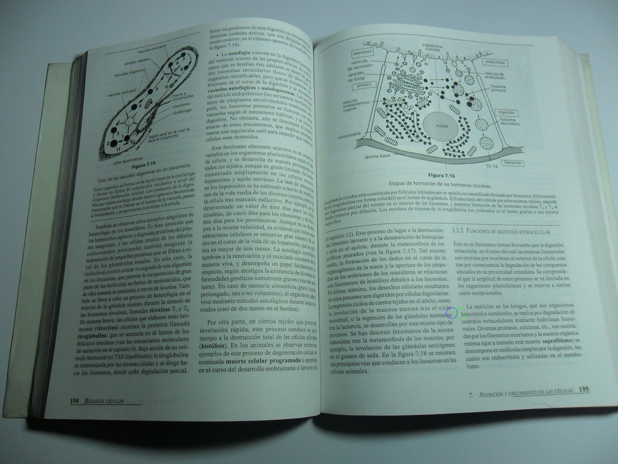 FOTO LIBRO