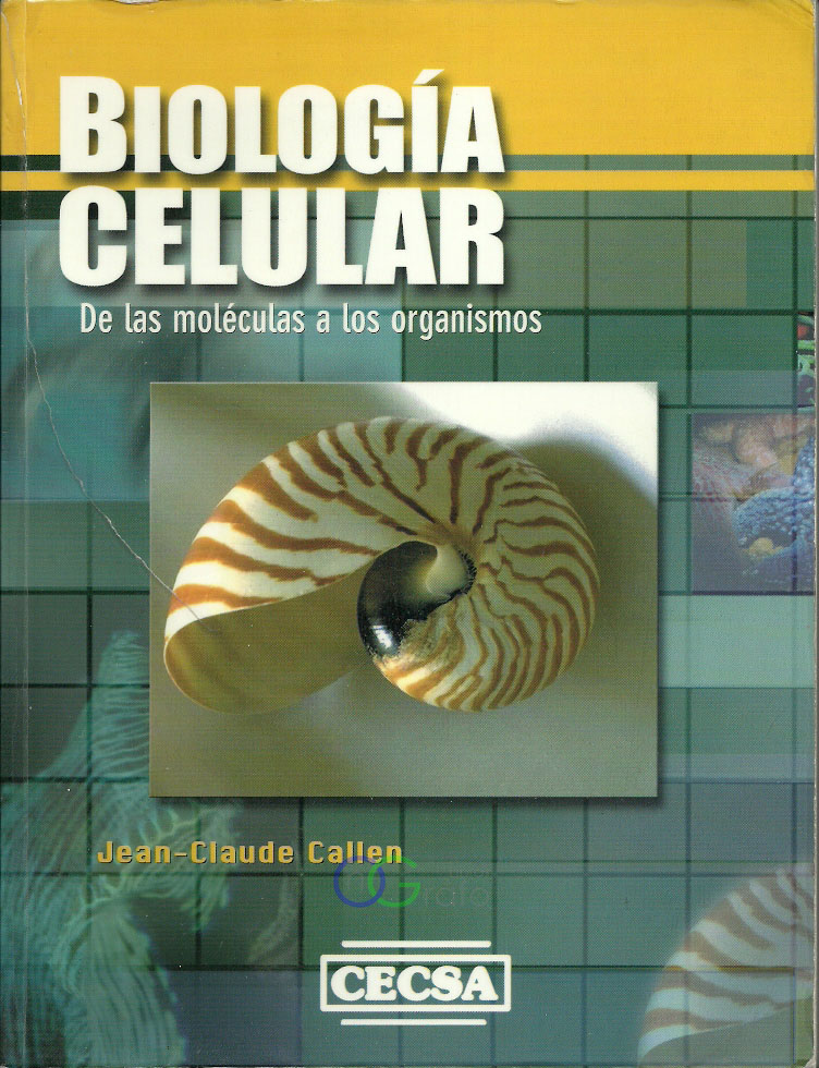 FOTO LIBRO