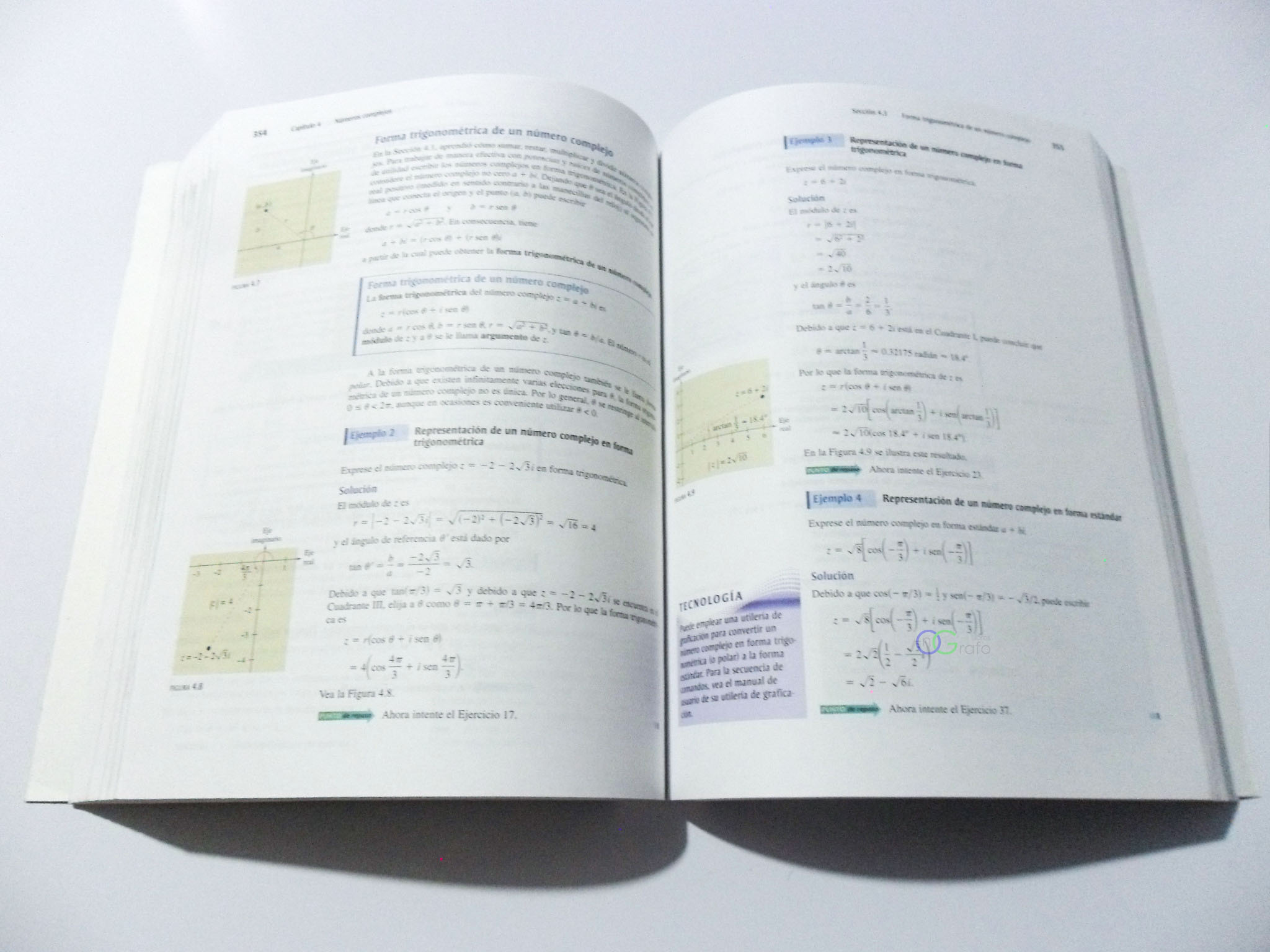 FOTO LIBRO